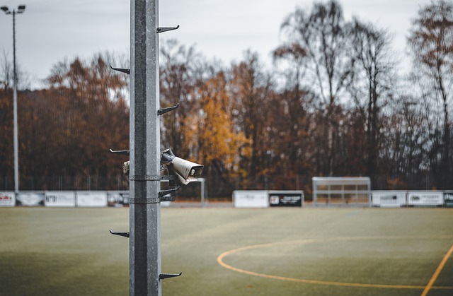 洲杯的渴望 洲杯的渴望