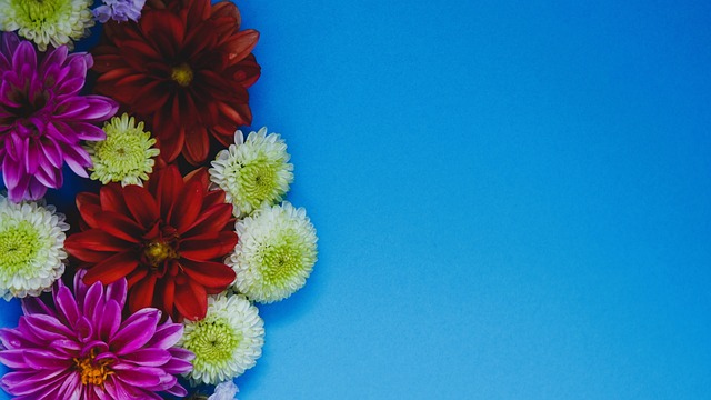 这一评价背 这一评价背