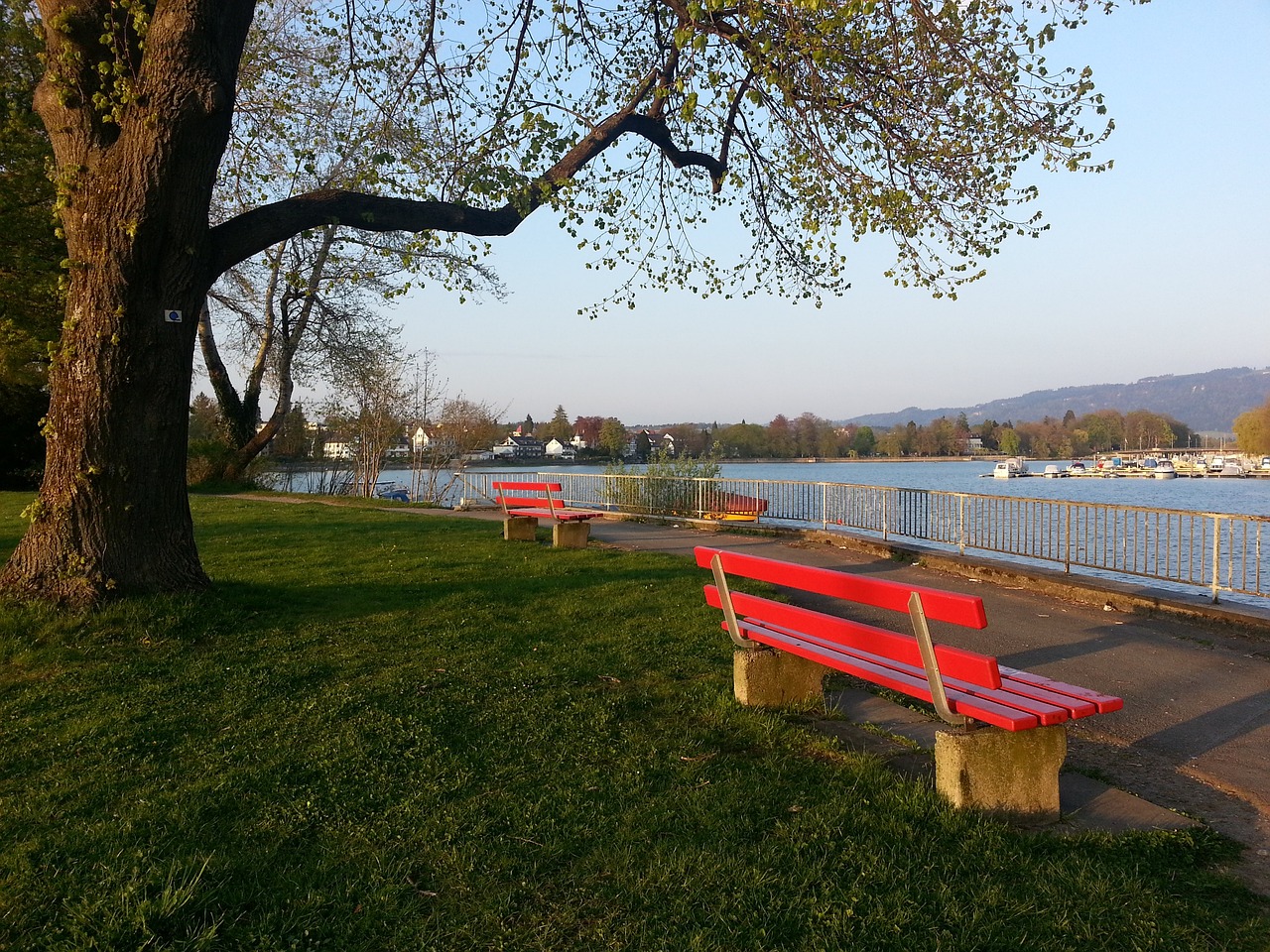 預測陣容的 預測陣容的