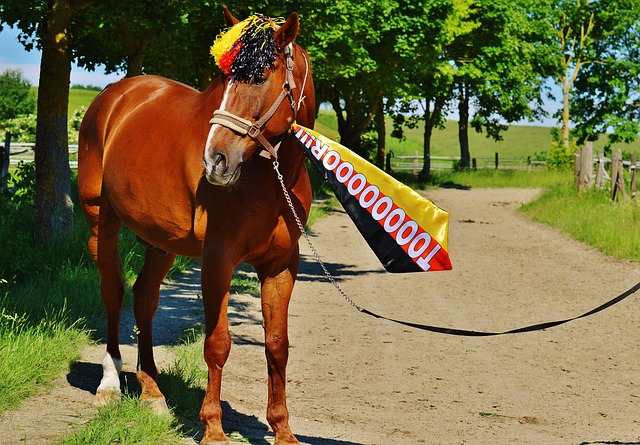 何通过对症 何通过对症