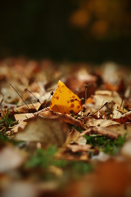 整不仅标志 整不仅标志